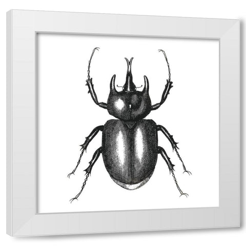 Bug Life Two White Modern Wood Framed Art Print by Villa, Mlli