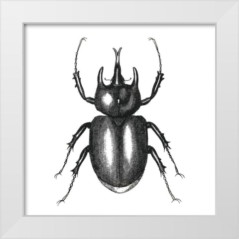 Bug Life Two White Modern Wood Framed Art Print by Villa, Mlli