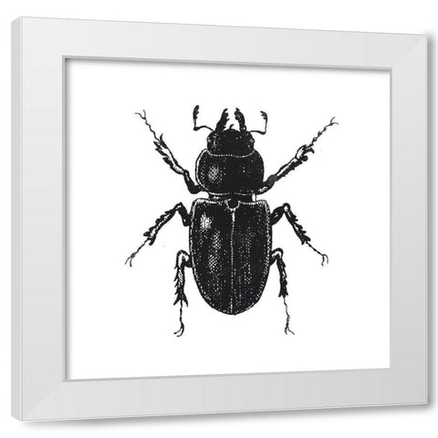 Bug Life Four White Modern Wood Framed Art Print by Villa, Mlli