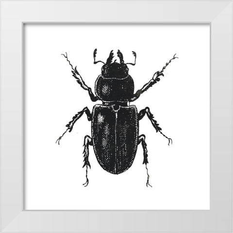 Bug Life Four White Modern Wood Framed Art Print by Villa, Mlli
