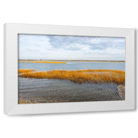 Winter Marsh White Modern Wood Framed Art Print by Orlando
