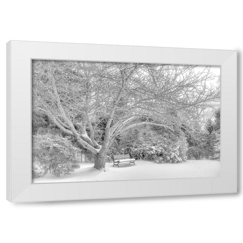 Aboretum December 2 White Modern Wood Framed Art Print by DeLuca, Pat