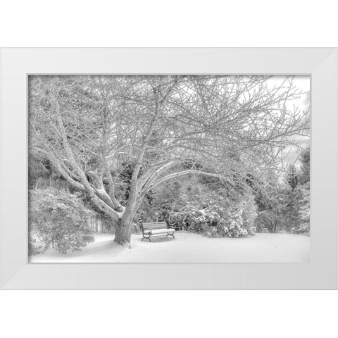 Aboretum December 2 White Modern Wood Framed Art Print by DeLuca, Pat