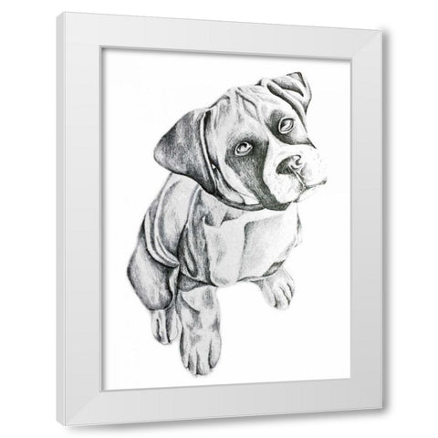 Boxerinpencil White Modern Wood Framed Art Print by Varacek, Pam