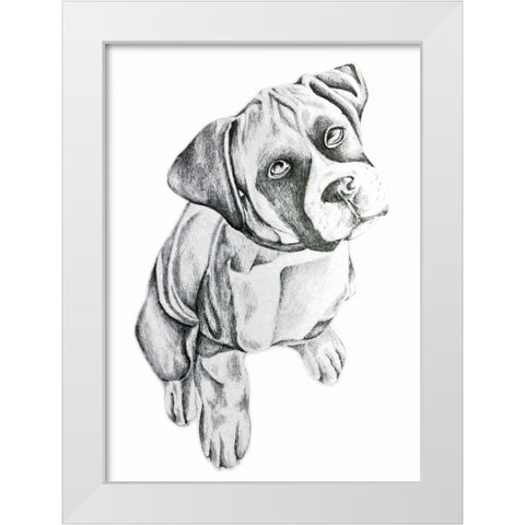 Boxerinpencil White Modern Wood Framed Art Print by Varacek, Pam