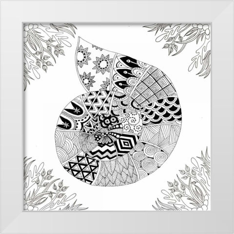 BW Nautilus Boardered White Modern Wood Framed Art Print by Varacek, Pam
