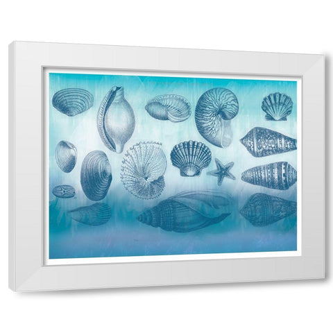 Watercolor Coast Shells White Modern Wood Framed Art Print by Allen, Candace
