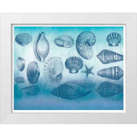 Watercolor Coast Shells White Modern Wood Framed Art Print by Allen, Candace
