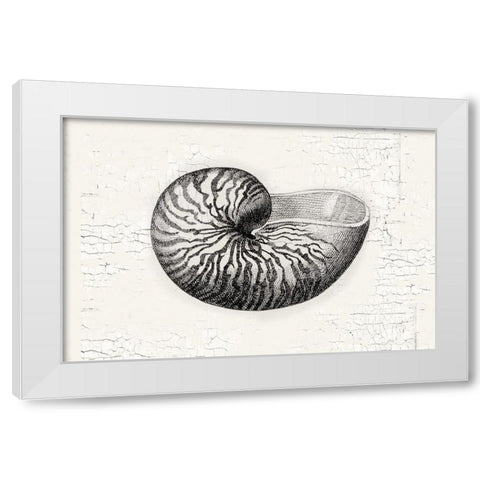 Shell White Modern Wood Framed Art Print by Lula Bijoux and Company