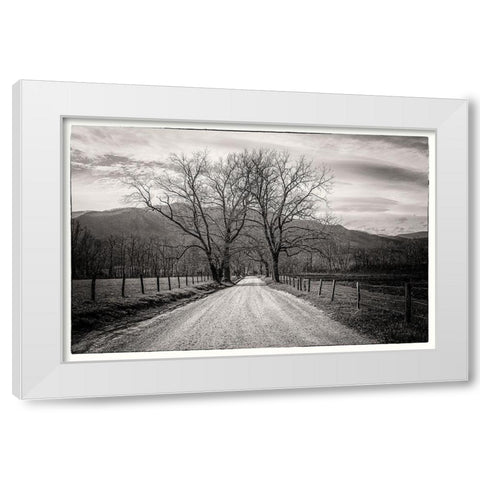 Less Traveled White Modern Wood Framed Art Print by Taylor, Glenn