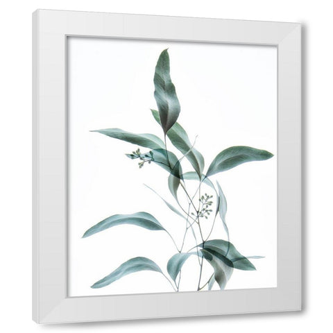 Gentle Botanical 2 White Modern Wood Framed Art Print by Poinski, Dianne