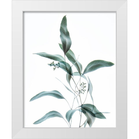 Gentle Botanical 2 White Modern Wood Framed Art Print by Poinski, Dianne