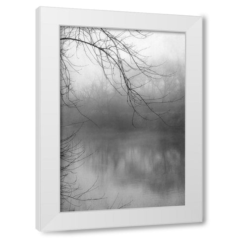 Misty Pond 1 BW White Modern Wood Framed Art Print by Poinski, Dianne