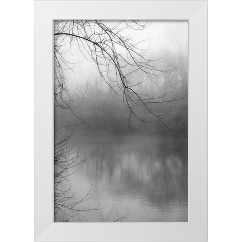 Misty Pond 1 BW White Modern Wood Framed Art Print by Poinski, Dianne