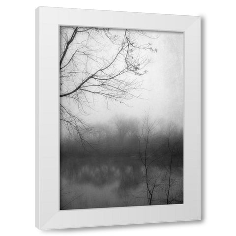 Misty Pond 2 BW White Modern Wood Framed Art Print by Poinski, Dianne