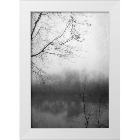 Misty Pond 2 BW White Modern Wood Framed Art Print by Poinski, Dianne