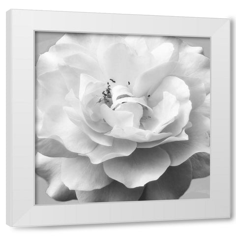 Beautiful Dreams 1 White Modern Wood Framed Art Print by Poinski, Dianne