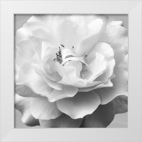 Beautiful Dreams 1 White Modern Wood Framed Art Print by Poinski, Dianne