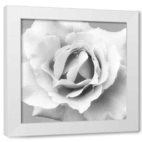 Beautiful Dreams 2 White Modern Wood Framed Art Print by Poinski, Dianne