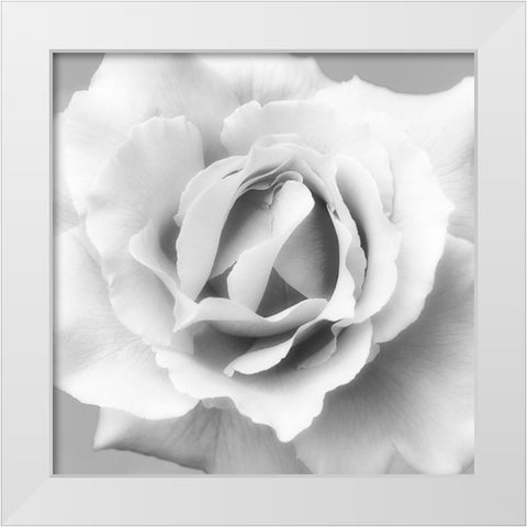 Beautiful Dreams 2 White Modern Wood Framed Art Print by Poinski, Dianne