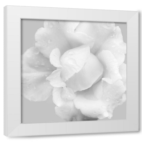 Beautiful Dreams 3 White Modern Wood Framed Art Print by Poinski, Dianne