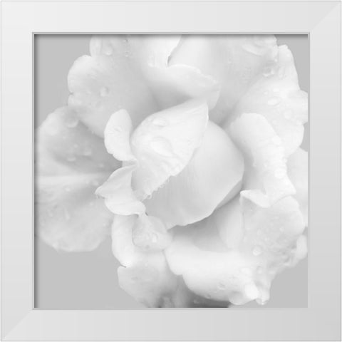 Beautiful Dreams 3 White Modern Wood Framed Art Print by Poinski, Dianne