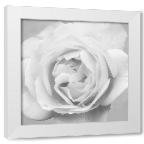 Beautiful Dreams 4 White Modern Wood Framed Art Print by Poinski, Dianne