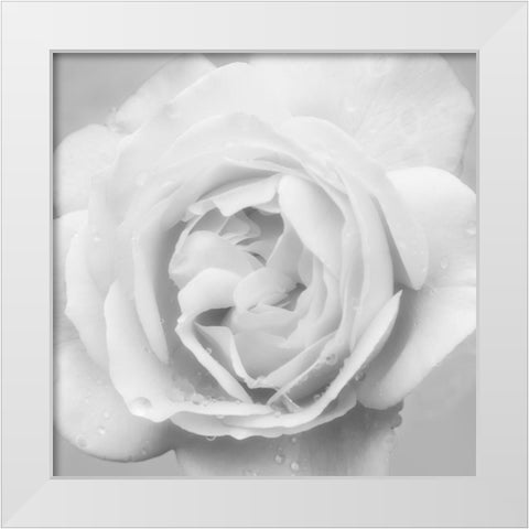 Beautiful Dreams 4 White Modern Wood Framed Art Print by Poinski, Dianne