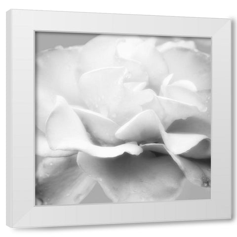 Beautiful Dreams 5 White Modern Wood Framed Art Print by Poinski, Dianne