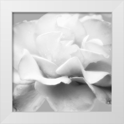 Beautiful Dreams 5 White Modern Wood Framed Art Print by Poinski, Dianne
