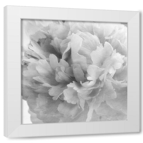 Blooming Intellect 1 White Modern Wood Framed Art Print by Poinski, Dianne