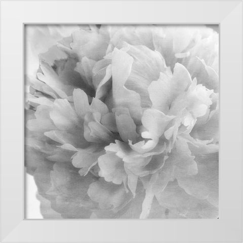 Blooming Intellect 1 White Modern Wood Framed Art Print by Poinski, Dianne
