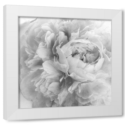Blooming Intellect 2 White Modern Wood Framed Art Print by Poinski, Dianne