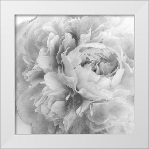 Blooming Intellect 2 White Modern Wood Framed Art Print by Poinski, Dianne