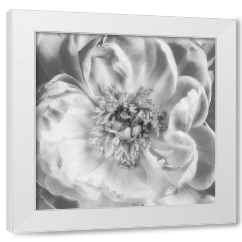 Blooming Intellect 3 White Modern Wood Framed Art Print by Poinski, Dianne