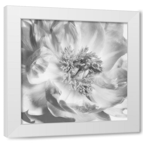 Blooming Intellect 4 White Modern Wood Framed Art Print by Poinski, Dianne