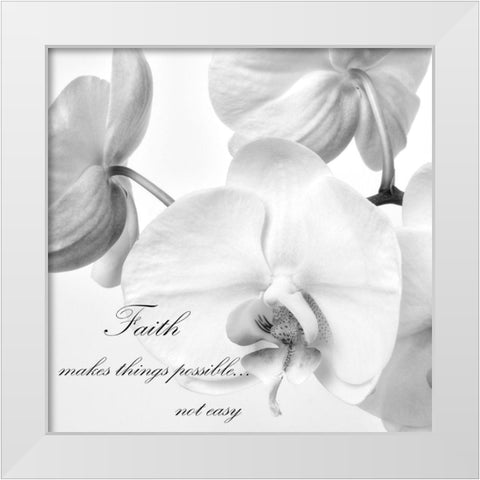 Faith Orchids White Modern Wood Framed Art Print by Poinski, Dianne