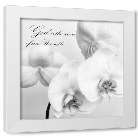 God Orchids White Modern Wood Framed Art Print by Poinski, Dianne