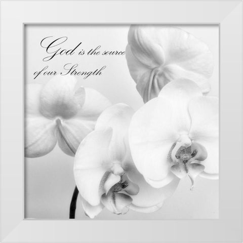 God Orchids White Modern Wood Framed Art Print by Poinski, Dianne