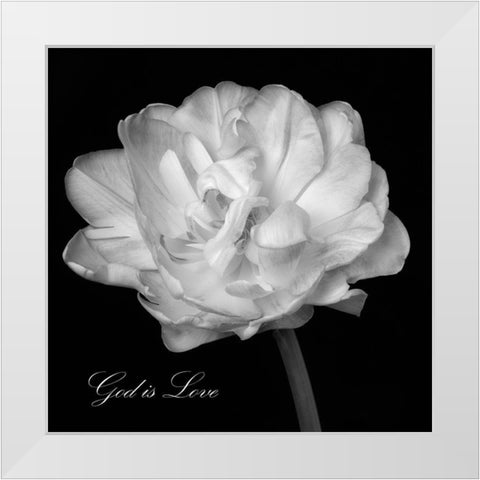 God is Love White Modern Wood Framed Art Print by Poinski, Dianne