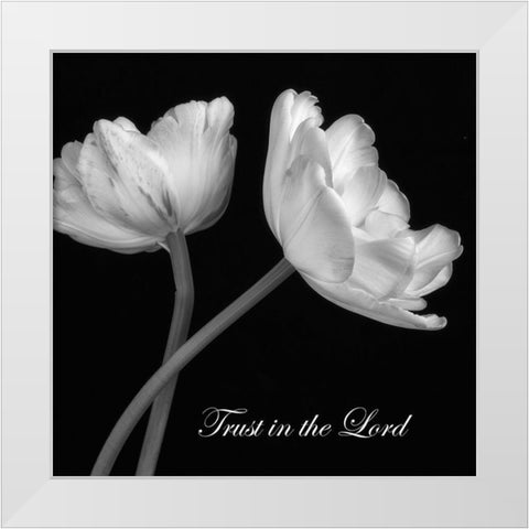 Trust in The Lord White Modern Wood Framed Art Print by Poinski, Dianne