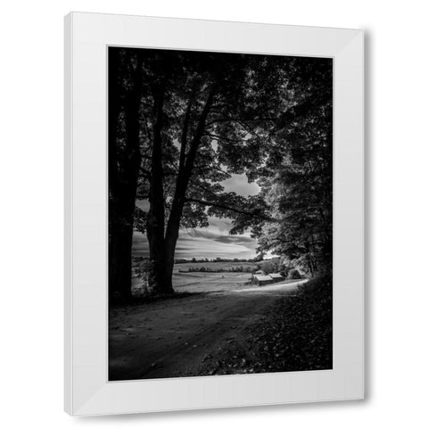 Jenne Farm Tree Tunnel White Modern Wood Framed Art Print by Rowland, Joseph