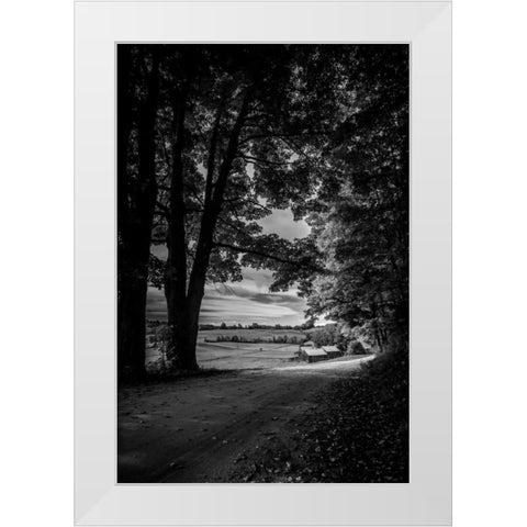 Jenne Farm Tree Tunnel White Modern Wood Framed Art Print by Rowland, Joseph