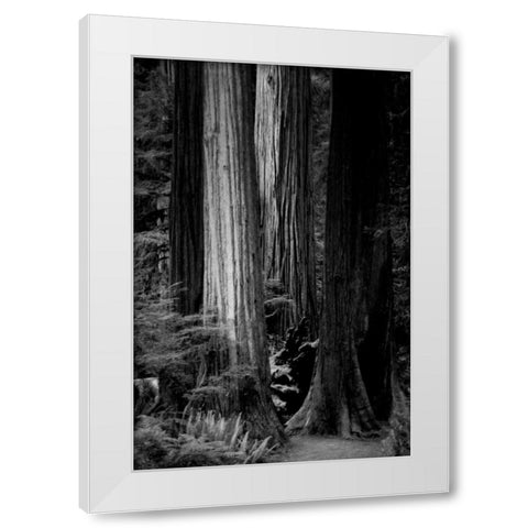Silence White Modern Wood Framed Art Print by Rowland, Joseph