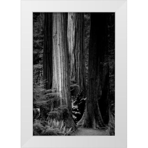 Silence White Modern Wood Framed Art Print by Rowland, Joseph
