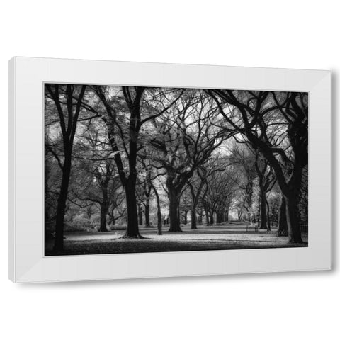 The Mall White Modern Wood Framed Art Print by Rowland, Joseph