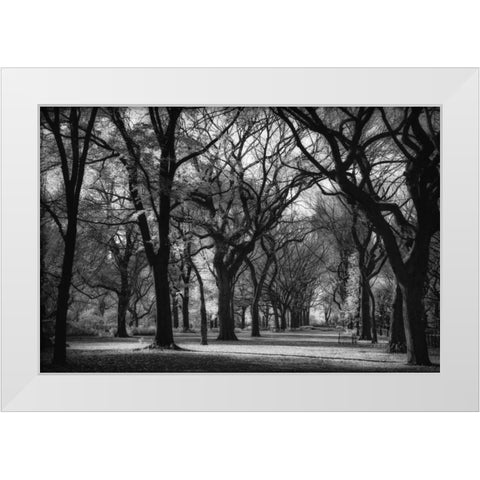 The Mall White Modern Wood Framed Art Print by Rowland, Joseph