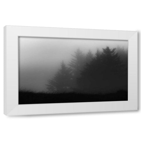 Trees In Fog White Modern Wood Framed Art Print by Rowland, Joseph