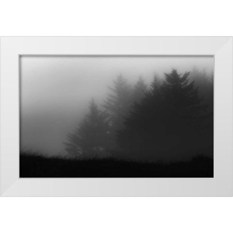 Trees In Fog White Modern Wood Framed Art Print by Rowland, Joseph