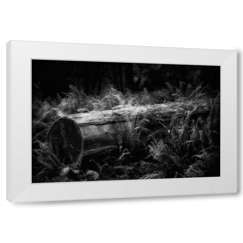 Fallen White Modern Wood Framed Art Print by Rowland, Joseph